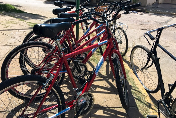 lobos-bicicletas