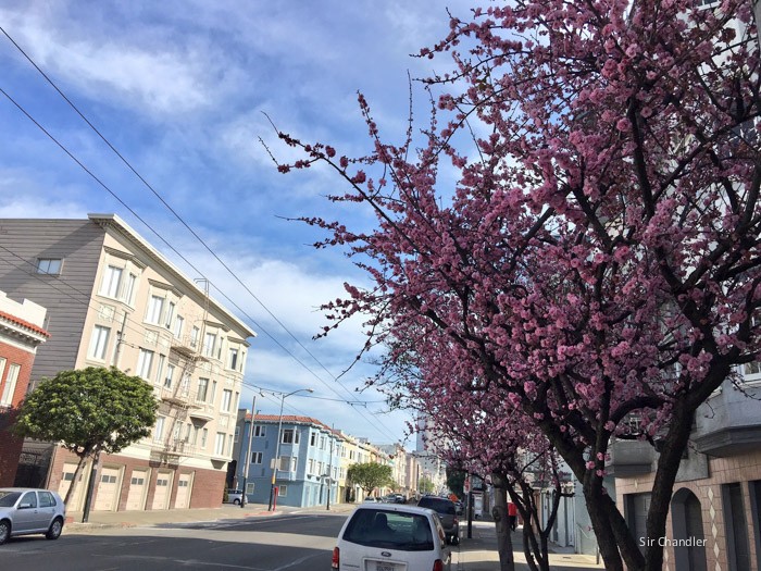 san-francisco-6373