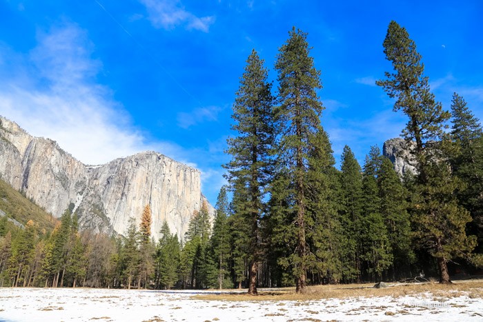 yosemite-0339
