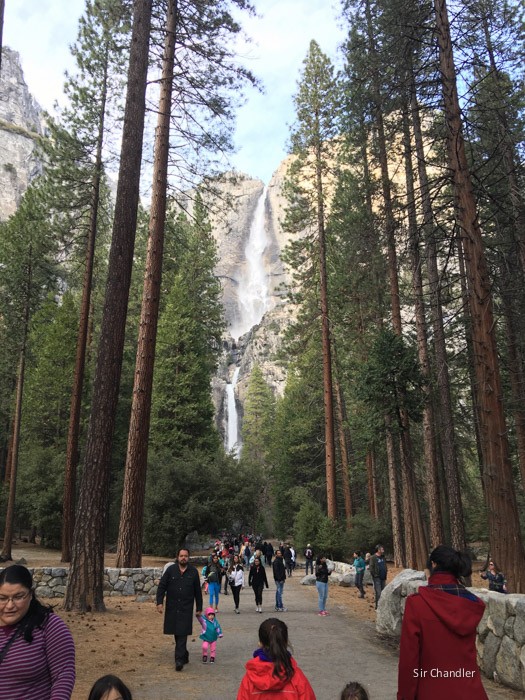 yosemite-6555