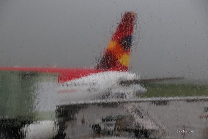 12-avianca-319