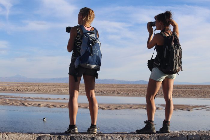 atacama-4294