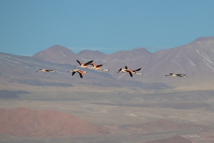atacama-4310