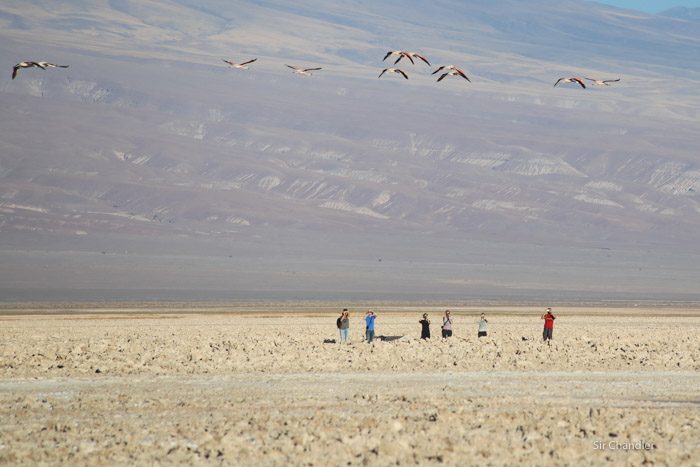 atacama-4318