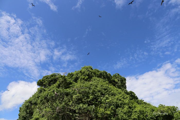 los-haitises-5489