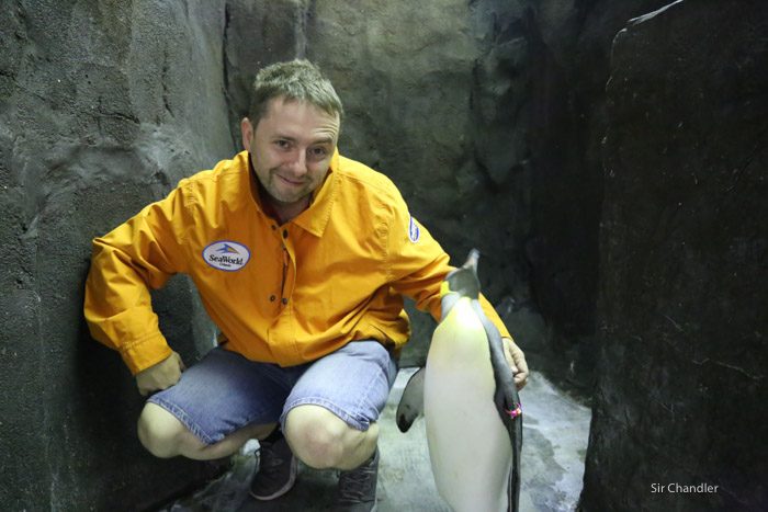 seaworld-3835