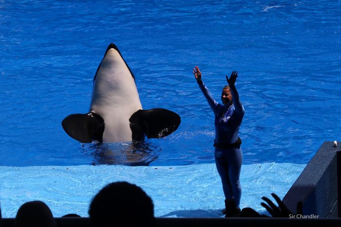 seaworld-3932