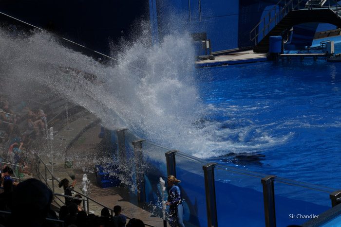 seaworld-3949