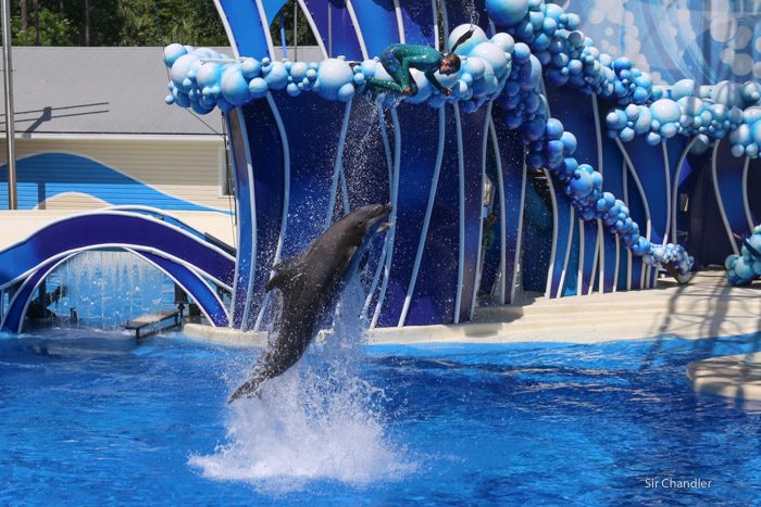 seaworld-4054