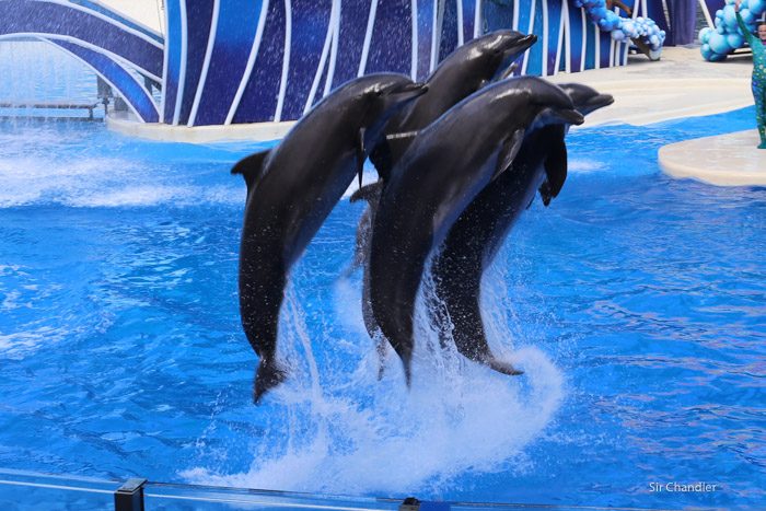 seaworld-4080
