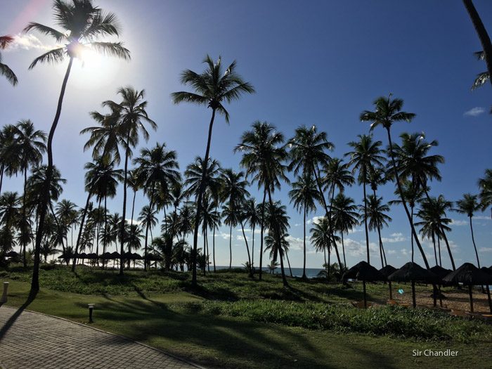 23-iberostar-bahia-2233