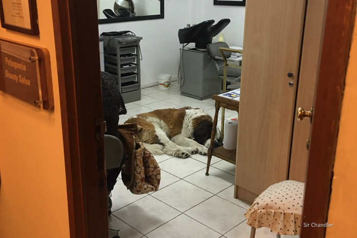 40-hotel-portillo-1021