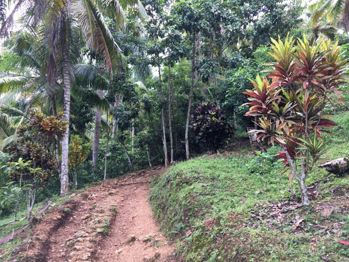 salto-limon-dominicana-0403