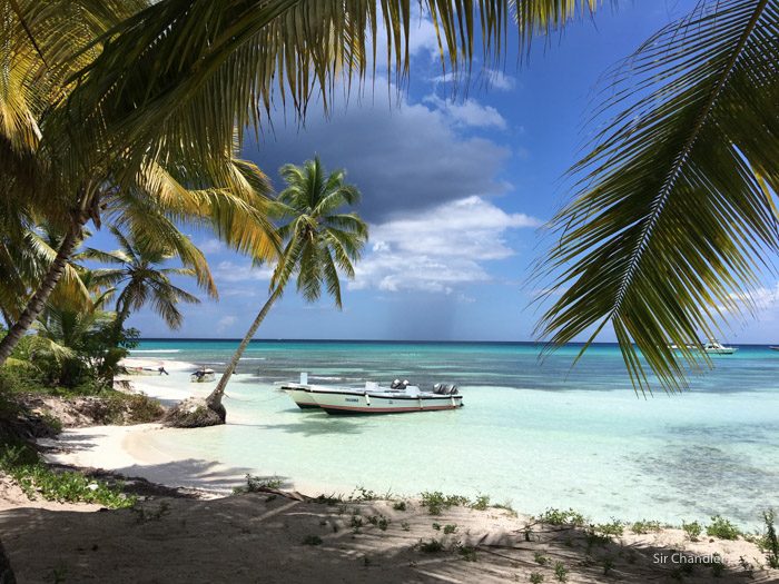 isla-saona-2959