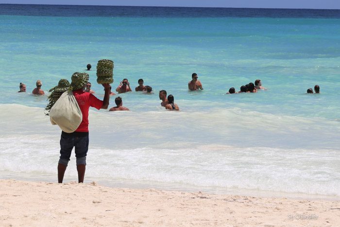 isla-saona-8956