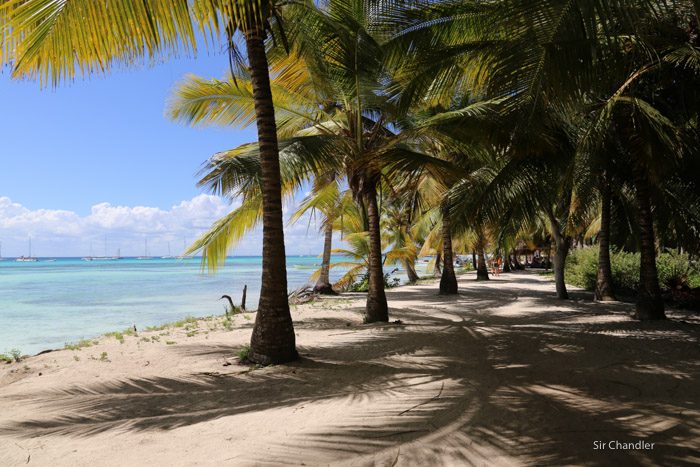 isla-saona-8962