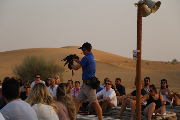 desierto-dubai-0216