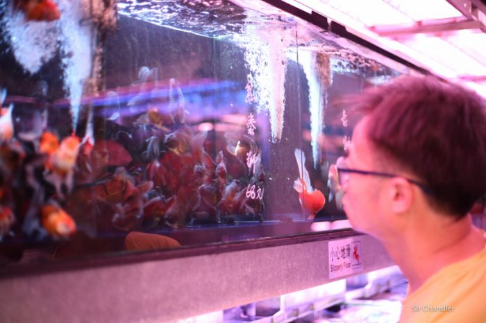 mercado-peces-hong-kong-9666