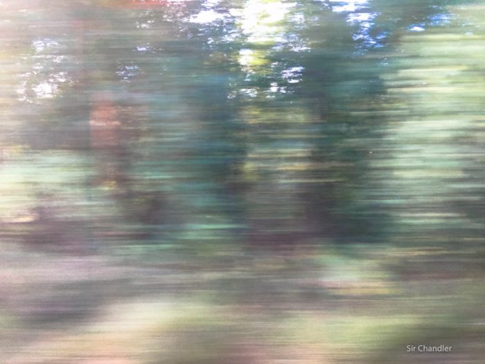 tren-amsterdam-berlin-5496