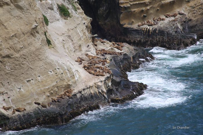 muelle-del-alma-2601