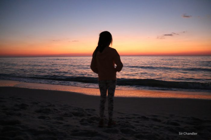 naples-florida-1281