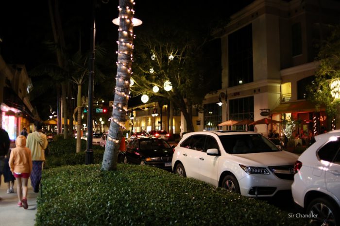 naples-florida-1433