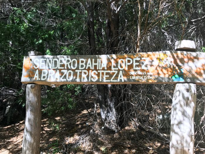 brazo-tristeza-trekking-bariloche-1452