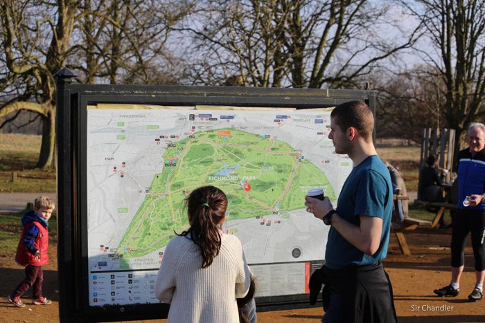 richmond-park-londres-8804
