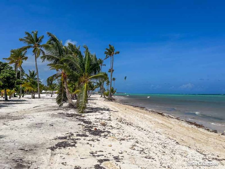 ¿Qué onda el sargazo esta temporada en el Caribe y Miami?